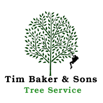 Tim Baker & Son Tree Work